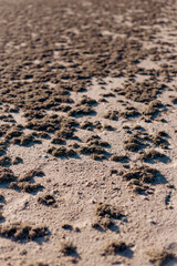 The texture of the bottom of a dried salt lake, sand and dried salt