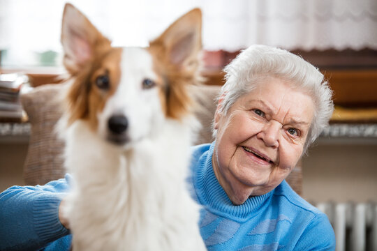 Portrait Of A Senior Adult Woman Holding A Half Breed Dog On Her Lap