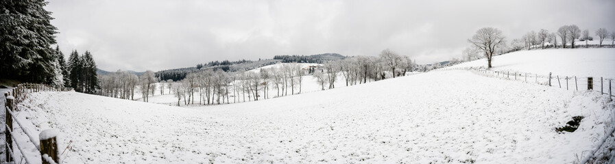Paysage d'hiver, département Loire, région Auvergne-Rhône-Alpes, France