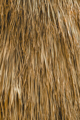 Straw closeup for texture or background