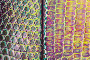 Genuine lizard varan leather is stitched in the middle vertically. Selective focus. Macro. White balance shift.