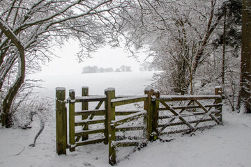 Wooden Fence In Winter Snow