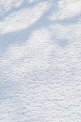 Freshly fallen snow outdoors in nature.