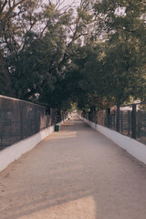 The road at the farm or at the zoo with valiers