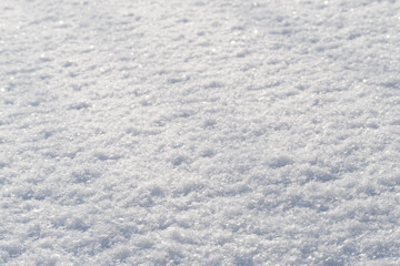 Fototapeta premium Freshly fallen snow outdoors in nature.