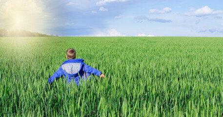 Naklejka na ściany i meble Happy boy walks across a green field with his arms spread.