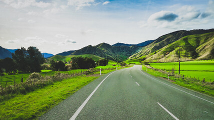 New Zealand Road