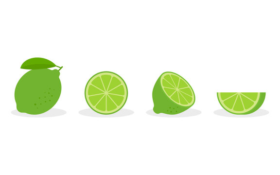 Set of lime - a whole lime, half, a piece and a slice of lime. Fruit isolated on a white background.