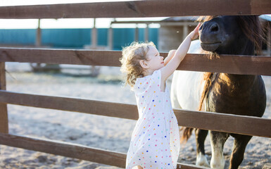 Little girl stroking pony in zoo