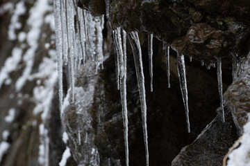 Icicle on a rock wall in the mountains of Harz germany in winter