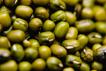 green beans close up
beans texture
green beans
bean harvest
green texture close up