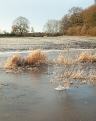 Winter Landscape with frost and ice on trees and frozen water. In winter sunshine.