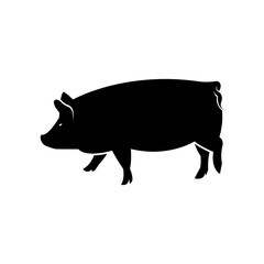 Pig vector.