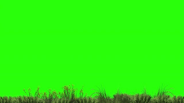 
Animation of harvesting grass and plants on the ground on a green screen for keying.