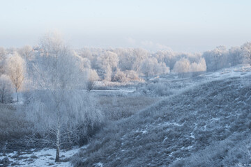 winter sunrise and a tree on a slope. Fantastic winter landscape. frozen snowy trees at sunrise. Christmas holiday background