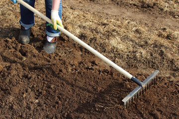 A woman is leveling the ground with a rake in the garden. Loosening the soil. Selective focus. Close-up. Background.