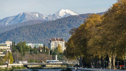 Beautiful autumn view of Sochi river, embankment with big American Sycamore Tree (Platanus occidentalis) and snowy peaks of Main Caucasian ridge. Sochi city center. Sochi, Russia - November 23, 2020: