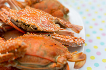 Steamed crab in plate