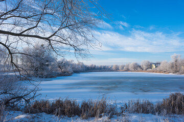 Landscape With Snowy Trees. Frozen Lake.