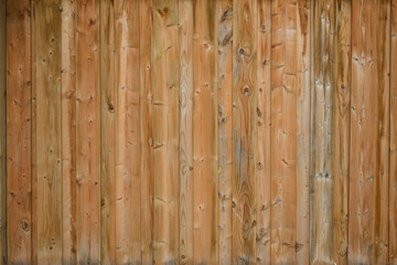 Wood grain background texture close up
