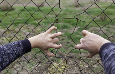 Barbed wire immigration