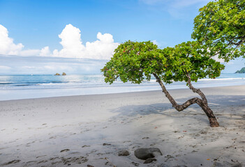 Manuel Antonio beatiful tropical beach with white sand and blue ocean. Paradise. National Park in Costa Rica, Central America.