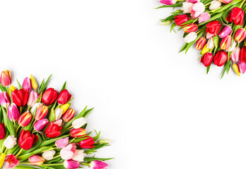 Fototapeta na wymiar Floral spring frame with colorful beautiful tulip flowers.