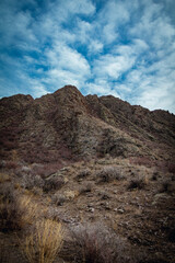 landscape of the mountains