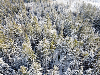 Winter landscape in Germany Bavaria in January with snow and sunshine