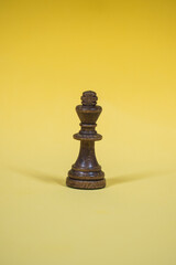 Chess board with checkers, pawns, knights, rooks, bishops, queen and kingblack and white colors
