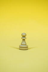 Chess board with checkers, pawns, knights, rooks, bishops, queen and kingblack and white colors