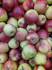 lot of apples in the market closeup photo