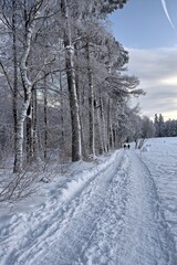 Winterspazierg&auml;nge