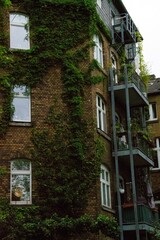 Fototapeta premium houses in the city