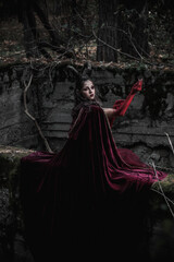 Fototapeta premium Dark fairy in the forest