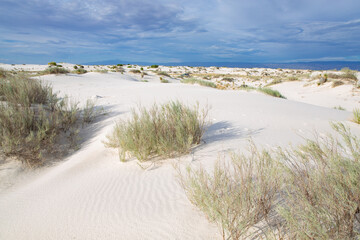 Fototapeta na wymiar White Sands National Monument in New Mexico, USA, gypsum desert
