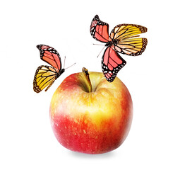 Color apple with butterfly on white background