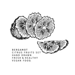 Hand drawn bergamot slices. Engraved vector illustration. Sour citrus exotic plant. Summer harvest, jam or cocktail vegan ingredient. Menu, package, cosmetic, food design.