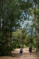 Fototapeta na wymiar mom and dad walking between the trees