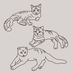  Set of cats lying in different poses. Funny pets drawn by contour lines. Vector illustration.