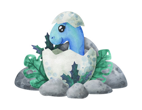 A blue baby dinosaur hatched from an egg in the jungle. Cartoon print with a diplodocus in the shell. Children's watercolor illustration, on a white background. Cute character with historical animals