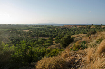 Fototapeta na wymiar view from the hill on the landscape of Crete