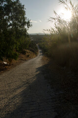 evening road downhill, Crete, Greece