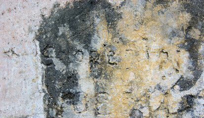 old engravings on an old falling wall
