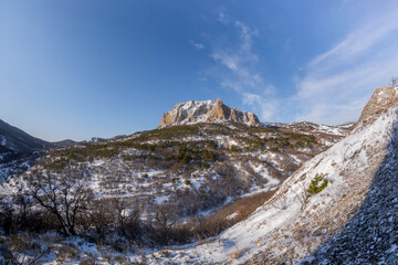 Winter landscape