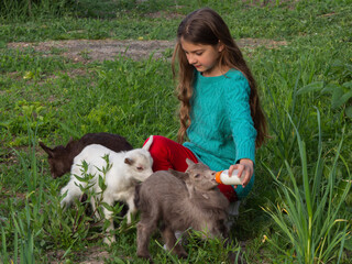 A girl feeds a baby goat from a bottle on a green lawn.