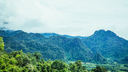Fog is passing through the mountains of northern Thailand in the rainy season.