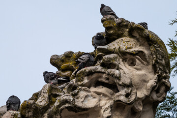 Obraz premium Statue in Lisbon with pigeons on it