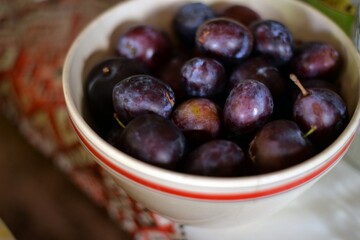 plums in a bowl on the table. organic tasty fruits from the orchard