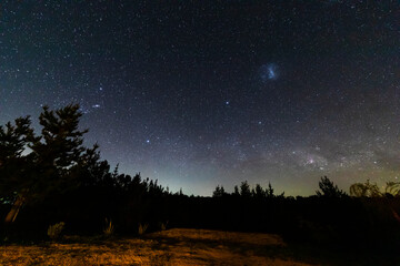 Fototapeta premium The amazing night sky full of stars. An awe scenery in the outdoors with the forest, the trees and the stars glowing in the distance. A dreamlike and colorful scenery at Puertecillo wood